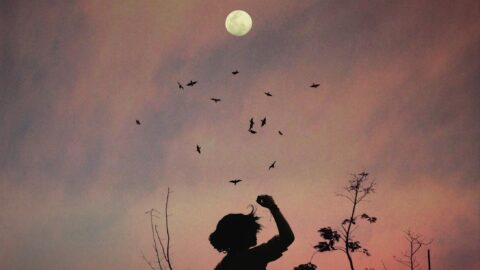 silhouette of person standing on field